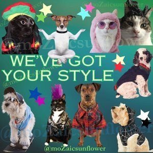 🩵🛍️💙𝐖𝐞'𝐯𝐞 𝐆𝐨𝐭 𝐘𝐨𝐮𝐫 𝐒𝐭𝐲𝐥𝐞💙🛍️🩵